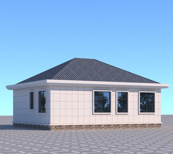 一层别墅平房设计图纸农村自建图2