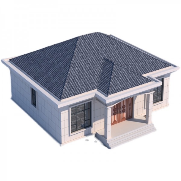 一层别墅平房设计图纸农村自建图3